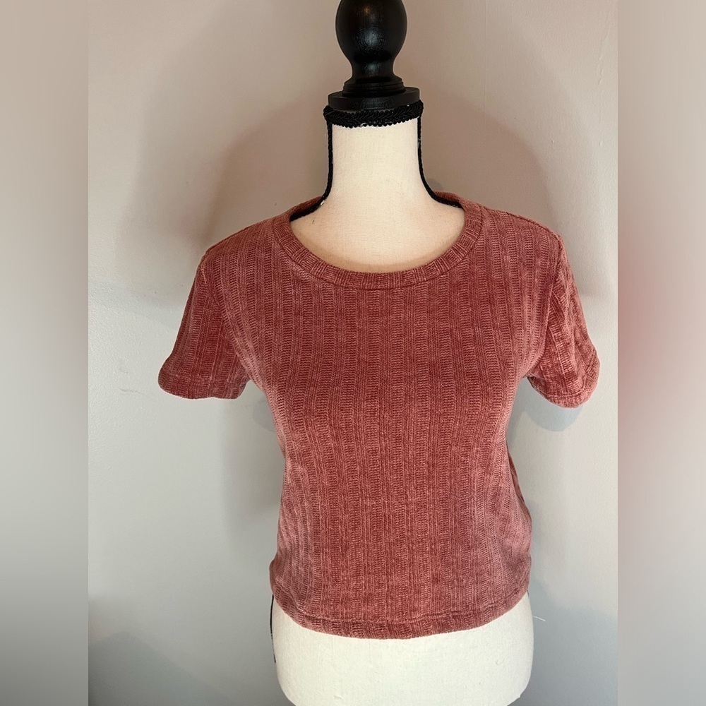 Zara Small Rose Ribbed Crop Top